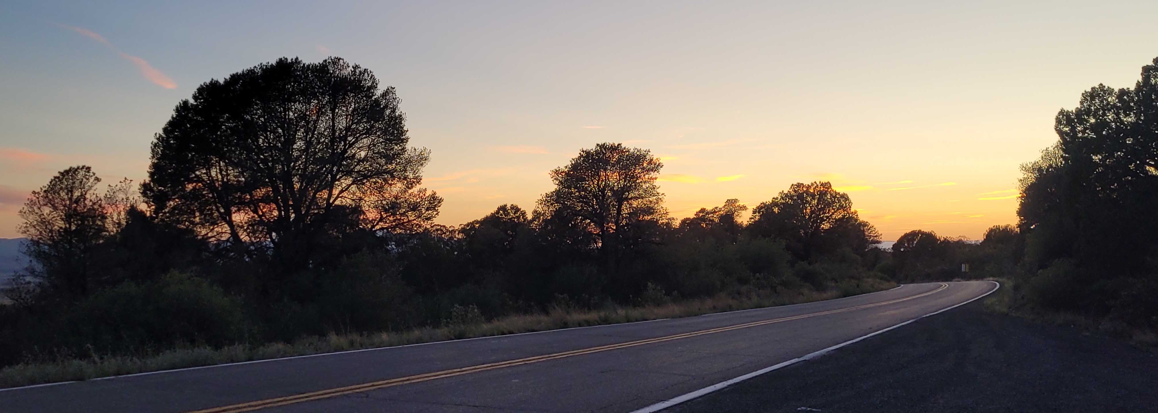 Street Diary Ornamentation